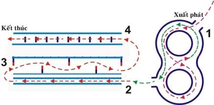 Cách thi bằng lái xe máy đỗ 100%